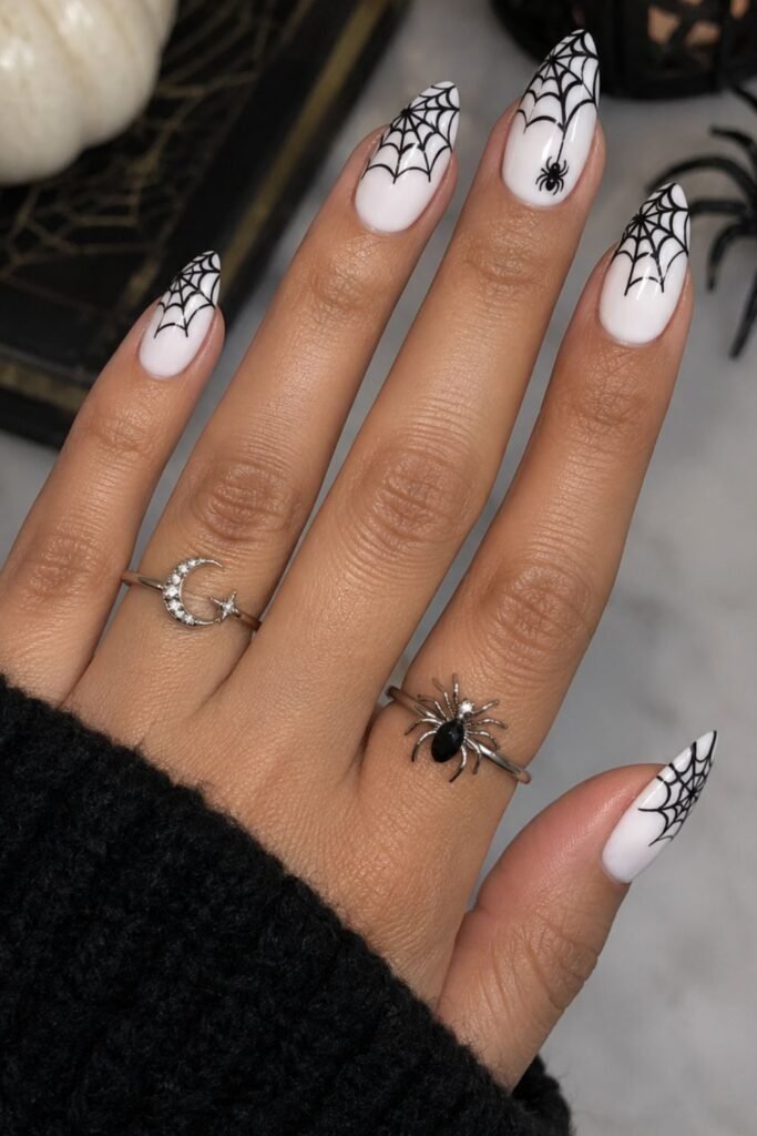 Black Web on White Base
